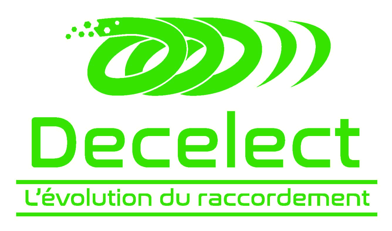 logo decelect